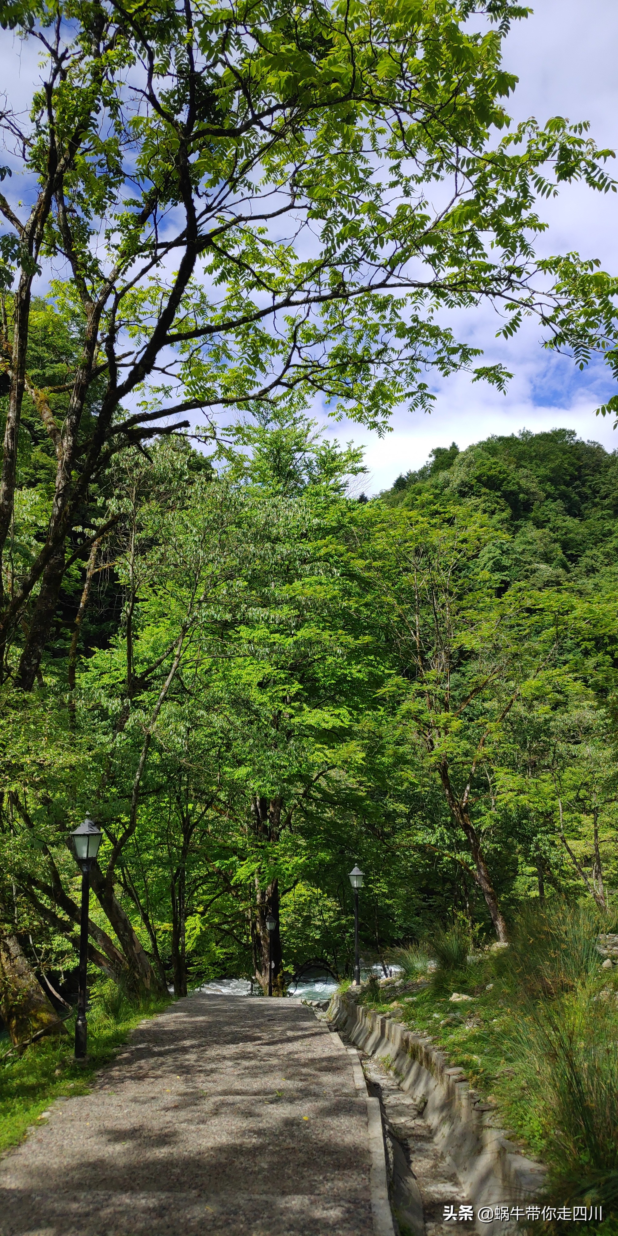 一家三口重庆到拉萨旅游攻略预算,一家三口成都去拉萨大概要多少钱