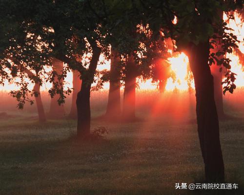 往年高考掉档是什么原因,高考掉档对下一批有什么影响