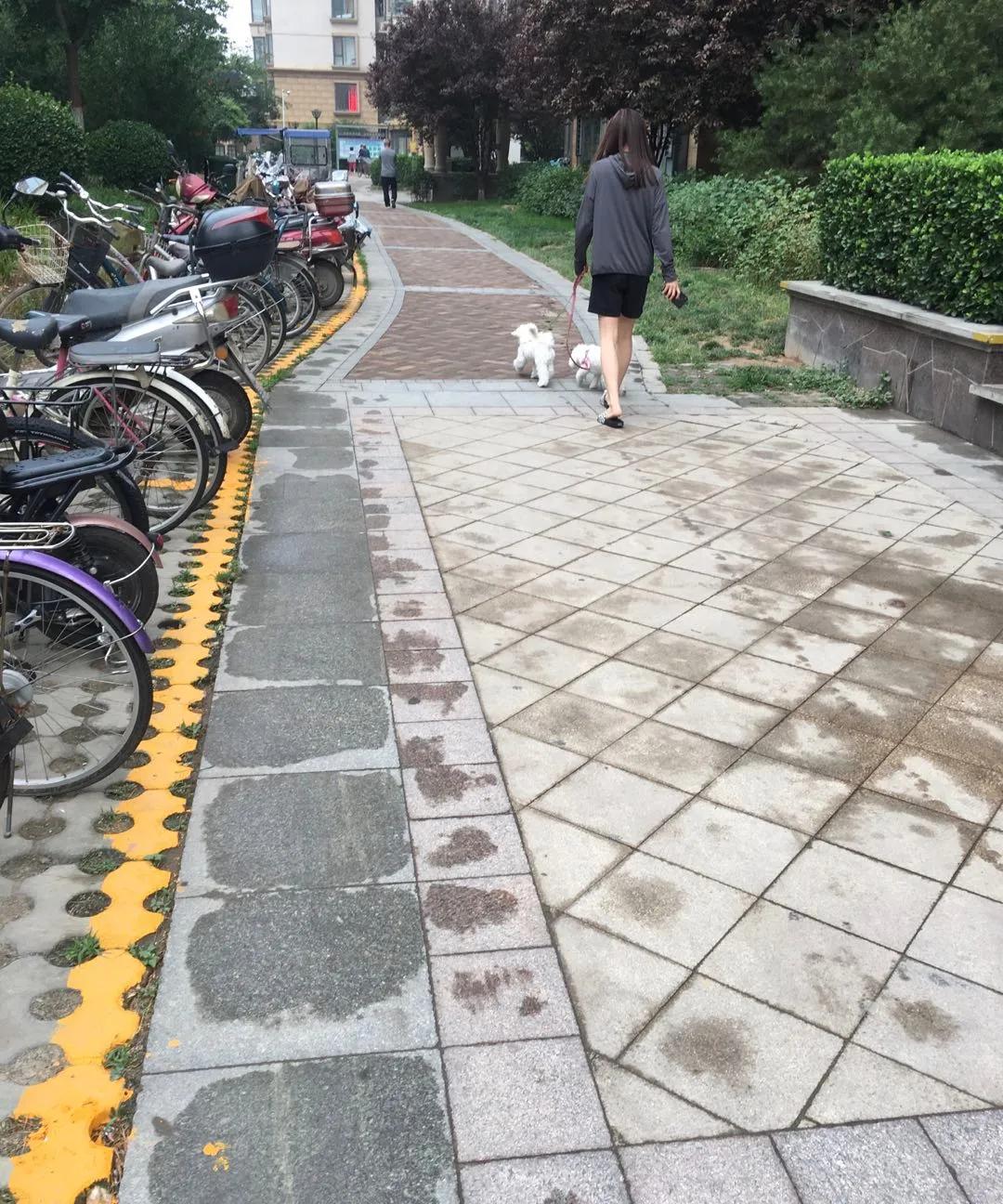 长安新区房子哪个楼盘好,长安区十大好楼盘