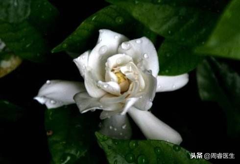 私密处该如何护理