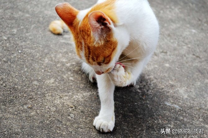 厦门海边之旅,厦门小众旅游体验