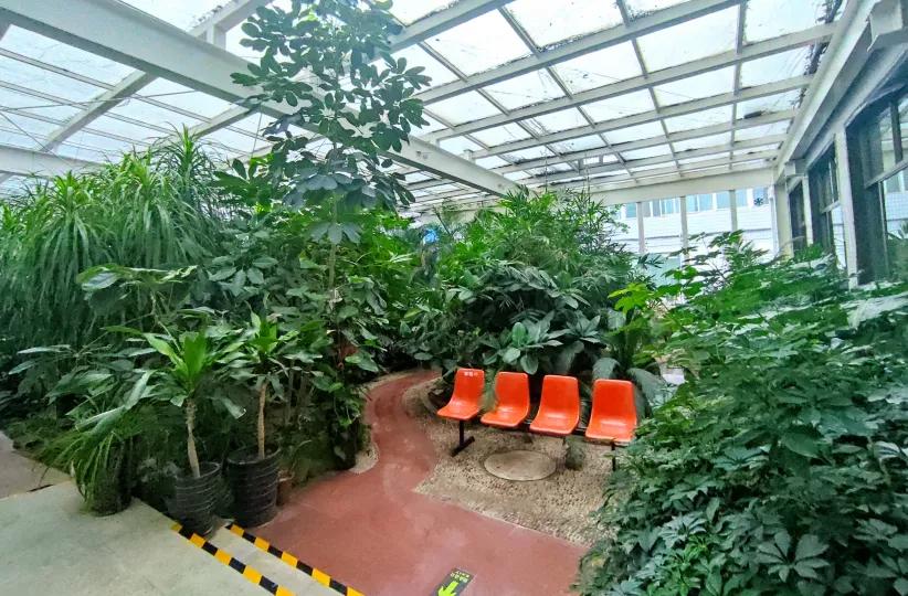 河北省工程大学附属医院义诊,河北大学附属医院体检套餐优惠