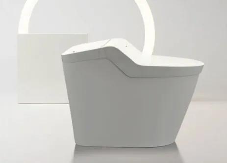 智能马桶松下和摩恩怎么选,恒洁和松下智能马桶哪个好