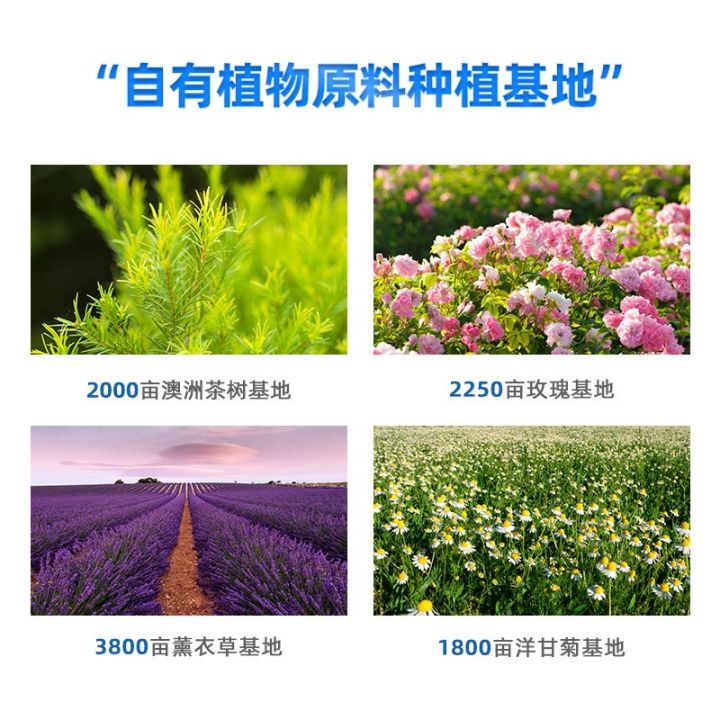 素颜霜如何打造高级感,这5款超美白素颜霜好用又省力