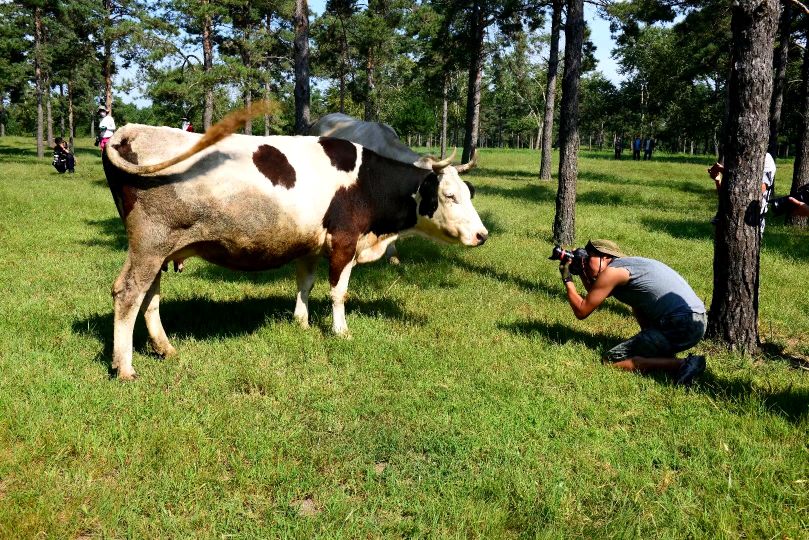 康平周边五一自驾游免费景点攻略,康平县夏季旅游
