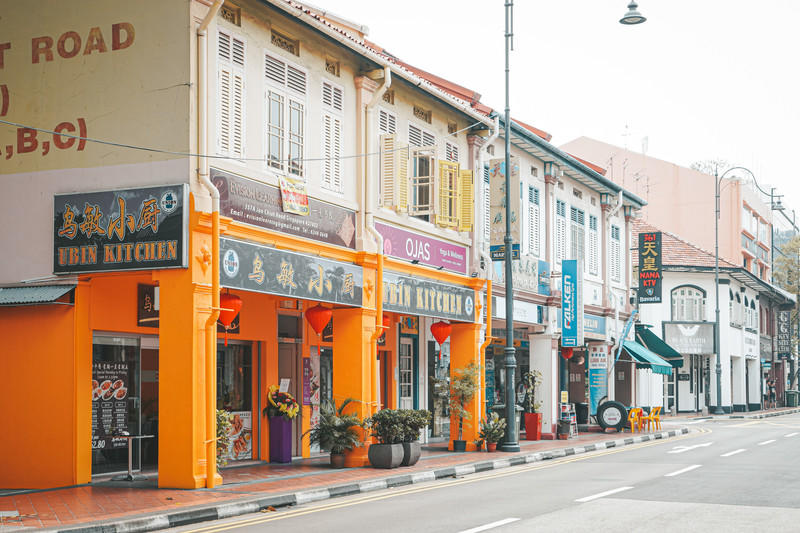 一人一猫环游,一人一猫旅行