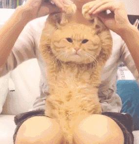 原北京国安足球运动员猝死,原北京国安足球队员去世