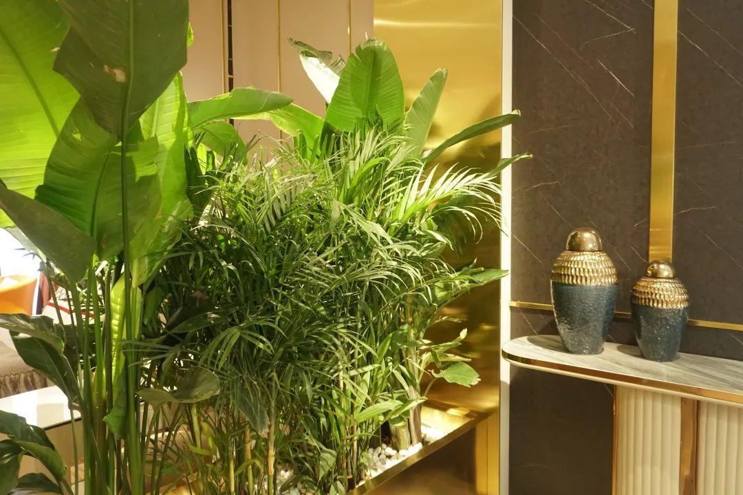 新产品齐聚，大牌工厂价｜福蒙特2020万商年中订货会福利享不停