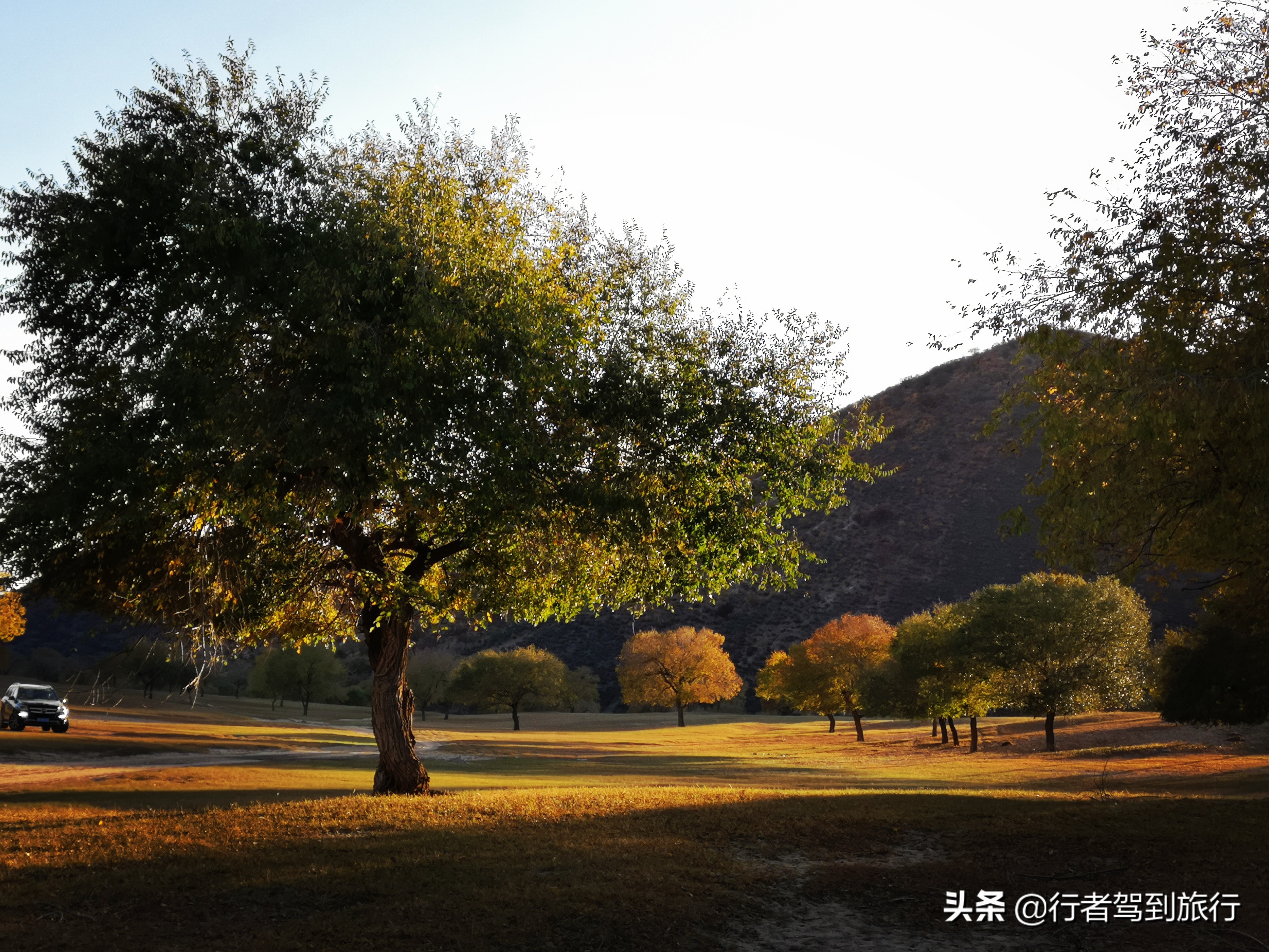 冬季克旗旅游自驾游攻略,克什克腾旗看秋色攻略