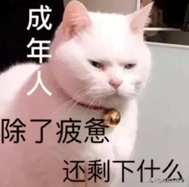 脸大真的不如脸小的好看吗,脸小真的显瘦吗