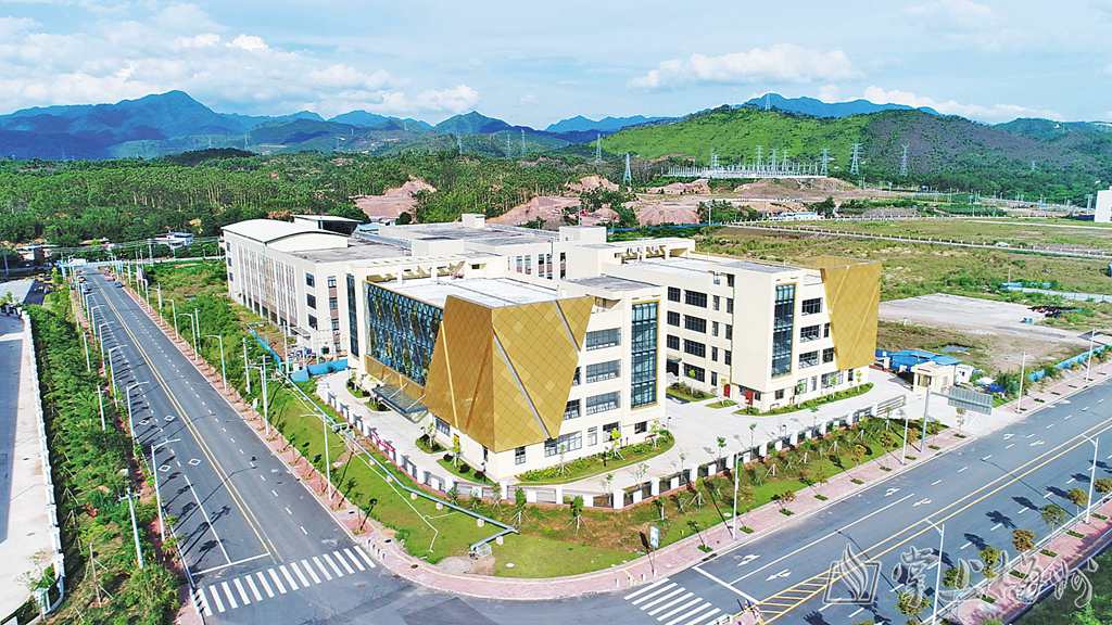 栽下梧桐树引得凤凰来出处,栽下梧桐树引得凤凰来