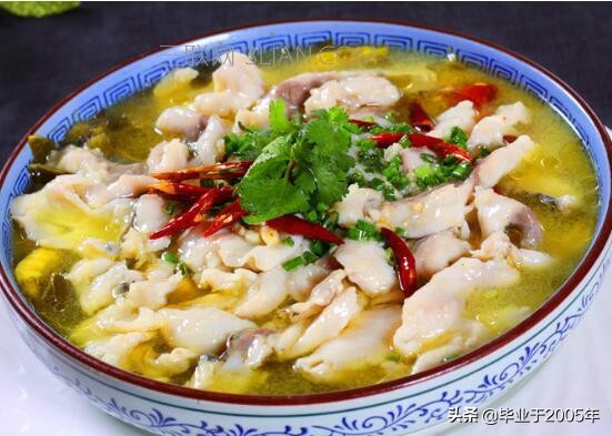 大连近海常见鱼类图鉴,大连哪里可以垂钓淡水鱼