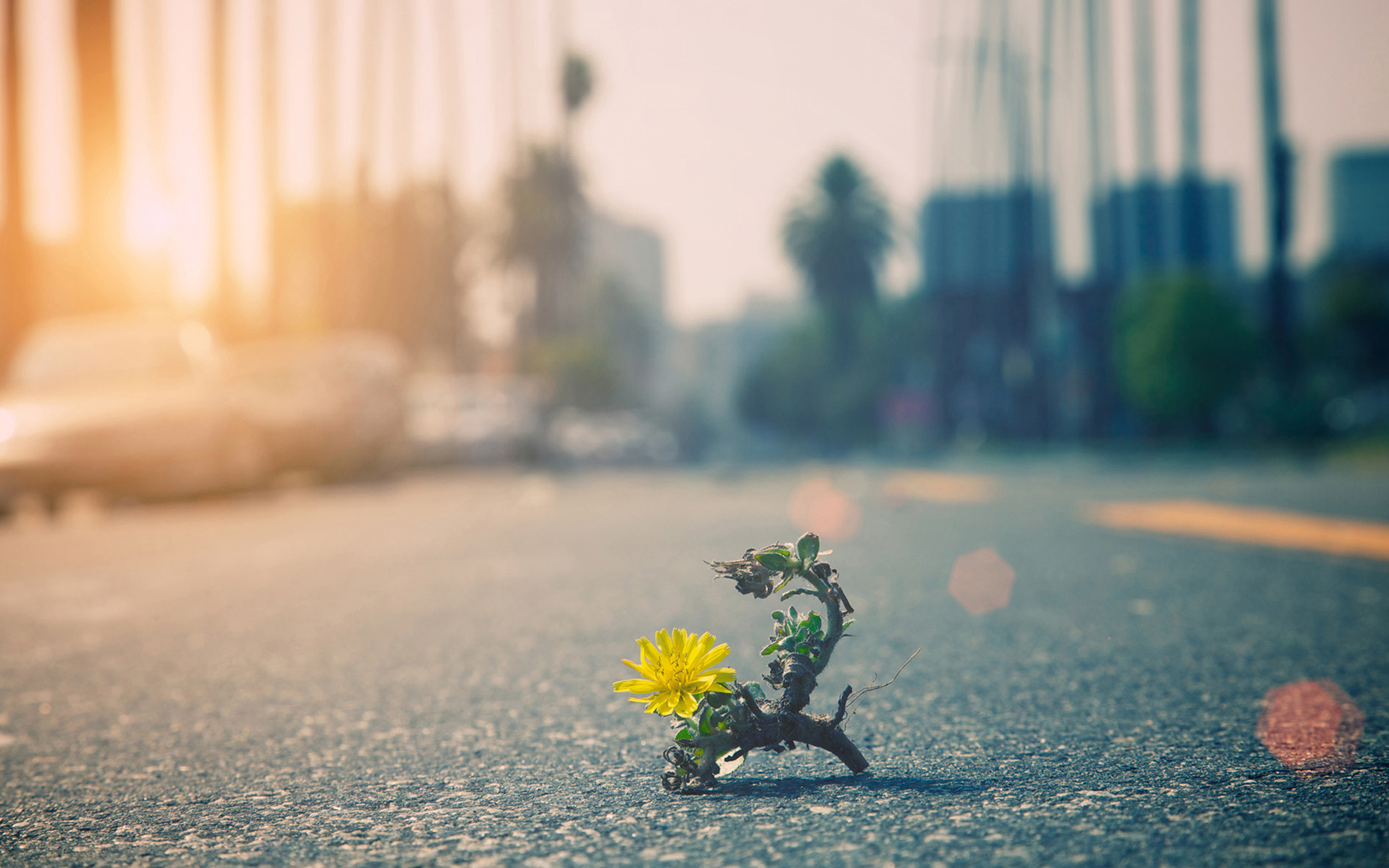 购买重疾险的十大误区,重疾险购买教程