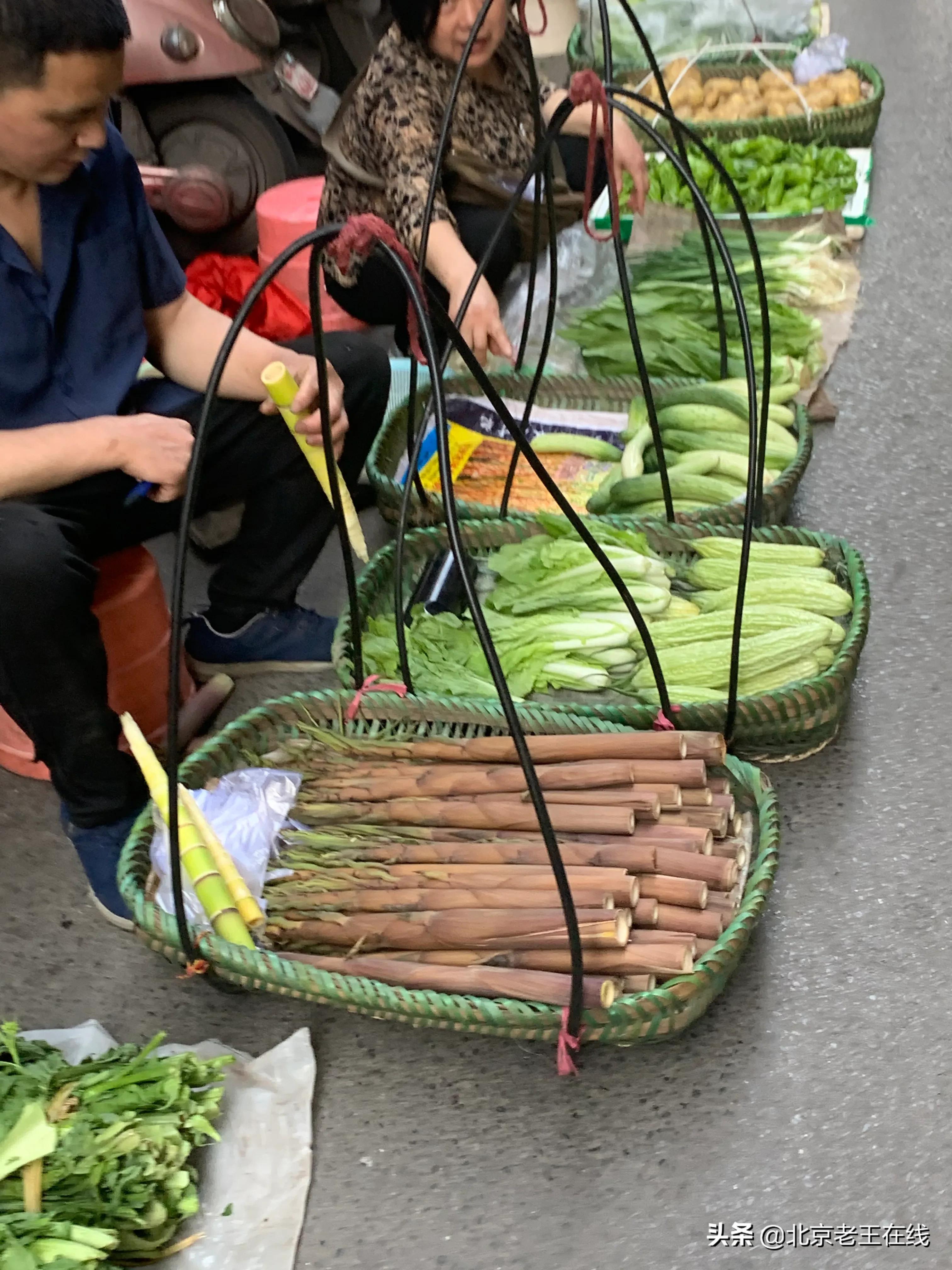 川渝之旅第三站,川渝之行感悟