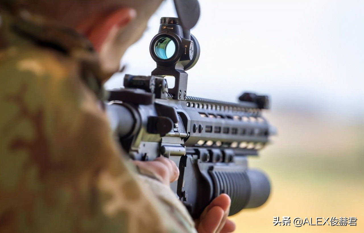 最大口径大象步枪,步枪大象