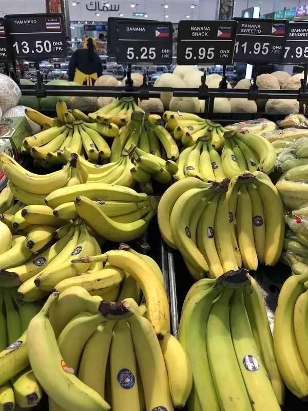 新加坡和迪拜生活成本,迪拜生活费用价目表