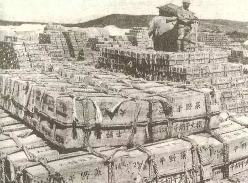 区区一个脚气病，差点灭掉日本*队军**，还改变了日本的国运……