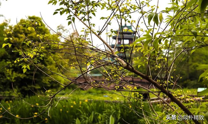 时代变了赚钱的本质没变,时代在变生意模式也要变