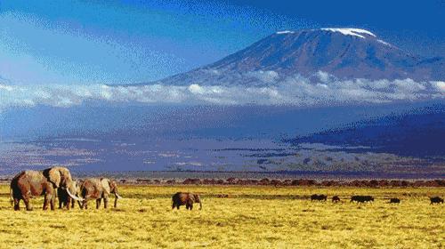 虎口脱险骑马片段,虎口脱险飞到瑞士为什么安全