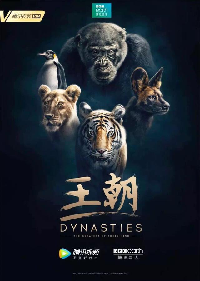 40部宝藏级bbc纪录片,bbc十大必看纪录片