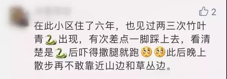 怀孕被毒蛇咬了小孩可以生下来吗,孕妇被毒蛇咬了怎么办