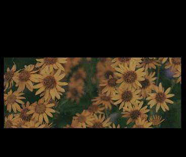 掌握技巧手机也能拍大片 (想用手机拍大片只需要做这一步)