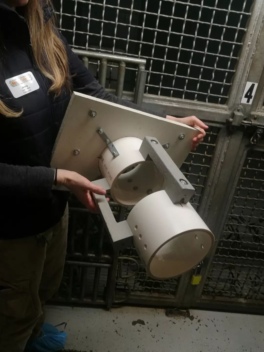 亚特兰大动物园,亚特兰大动物园和华盛顿动物园