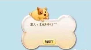 为什么qq突然有了00后,被90后抛弃的qq为什么受到热捧