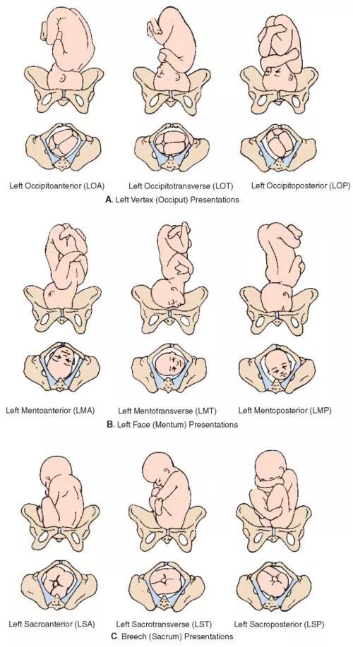 胎儿健康程度做什么检查,怎样能看出胎儿是否健康
