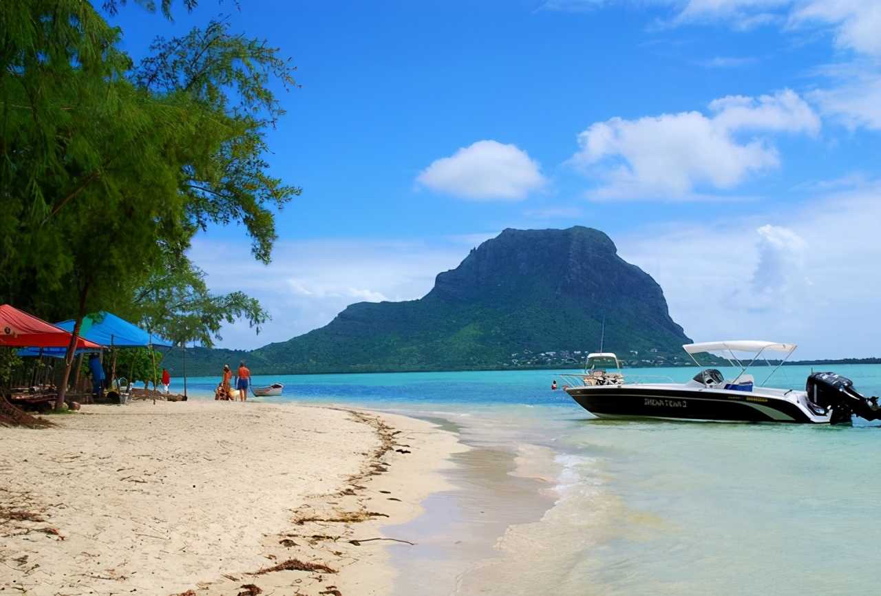 5本脑洞创意都不错的良品小说,金手指很新奇的小说