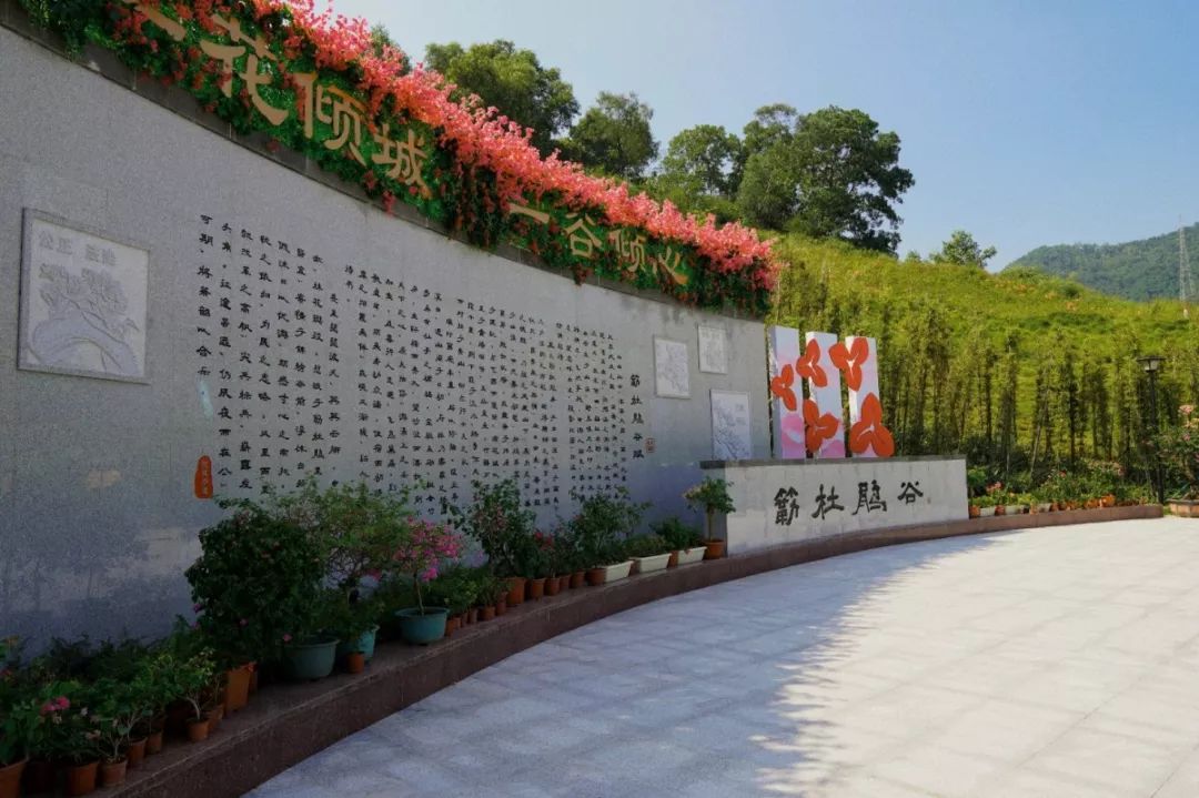 人少还免门票！深圳这片5000000㎡新公园美翻了，“神仙花谷”