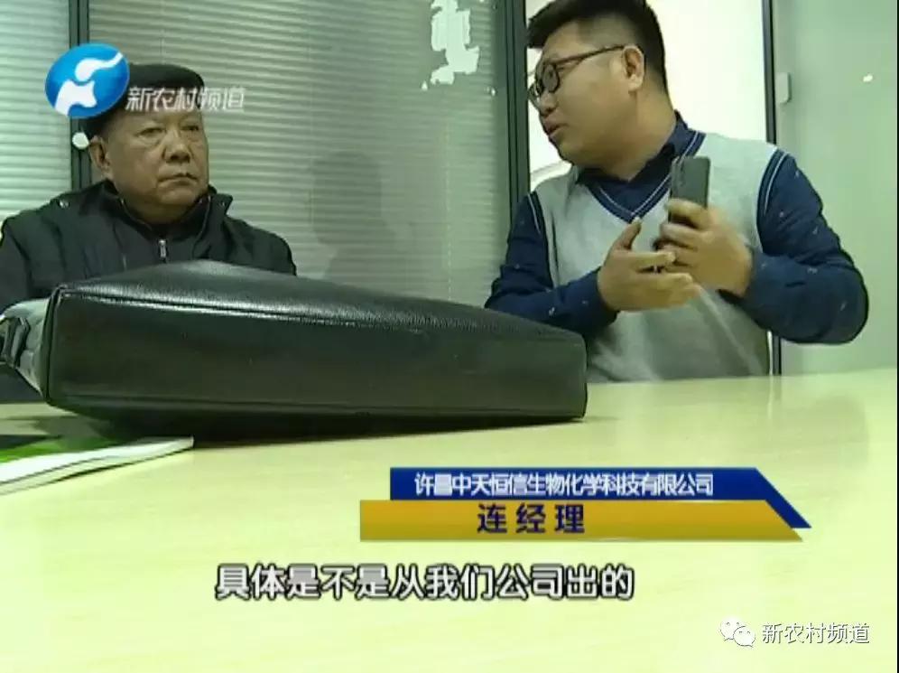 玉米除草剂药害玉米减产吗,玉米受药害减产吗