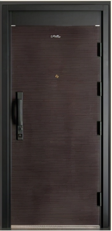 门轻奢系列,现在买什么门好看又实惠