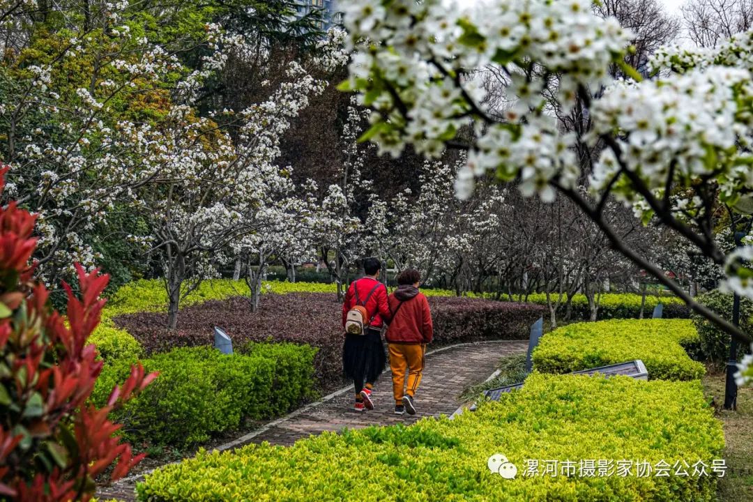 抗击新冠疫情专题展,抗击疫情专题展开展