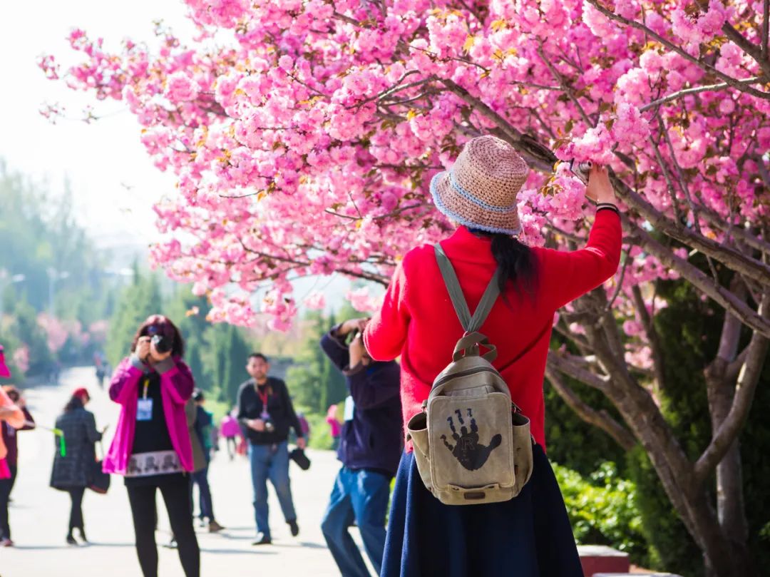 淄博市这个城市好吗,淄博这个城市怎么样