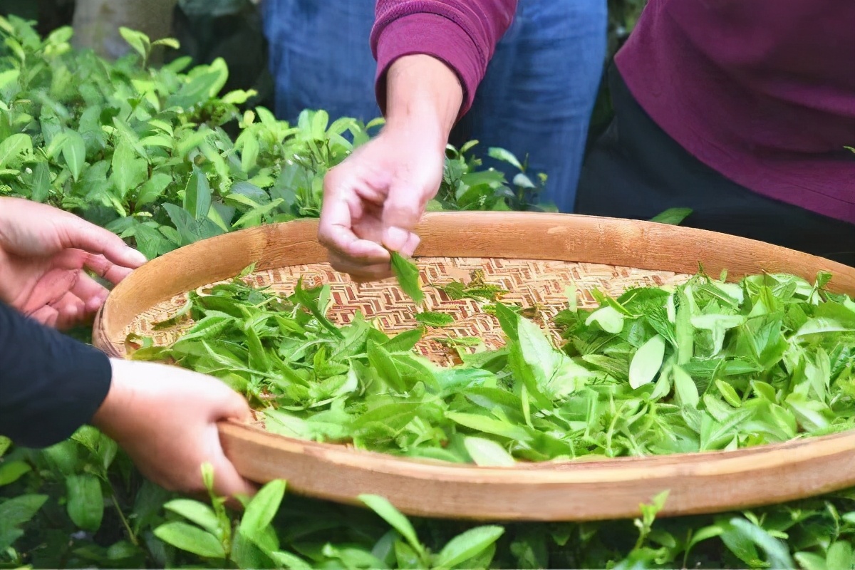 韶关善美直播,善美韶关现场直播活动
