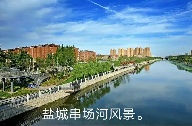 当代婚姻情感故事,连载：人狗情缘,一