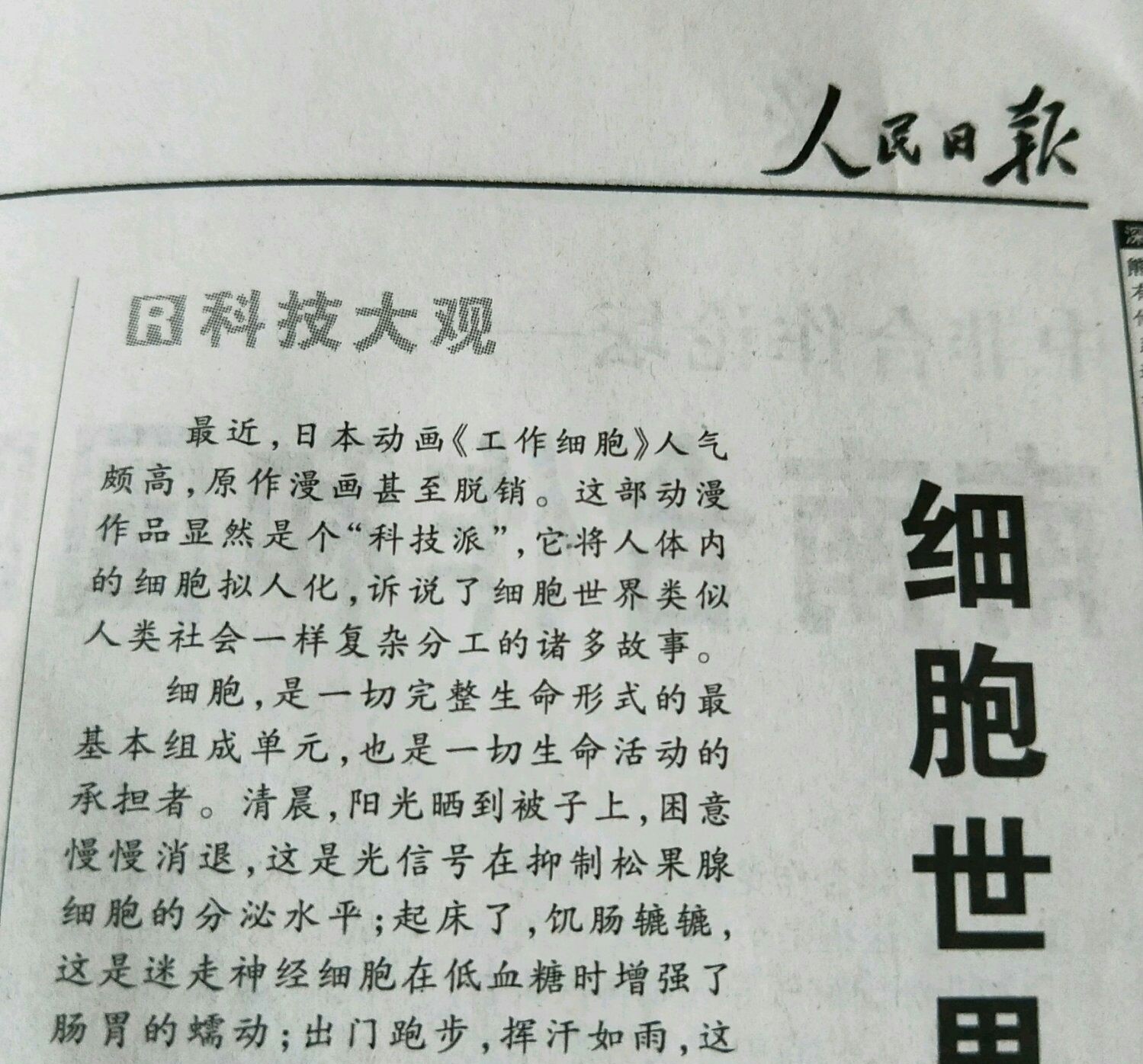 日本动漫新出的新电影,日本动画片新出