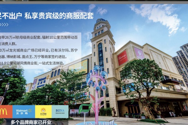 惠州龙光玖瑞府这个楼盘怎么样,大亚湾龙光城的楼盘怎么样