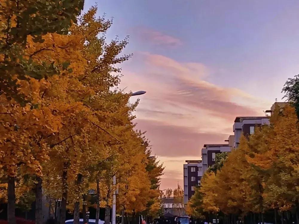 辽宁中医药大学杏林学院有独卫吗,辽宁中医药大学杏林学院属于3+2吗