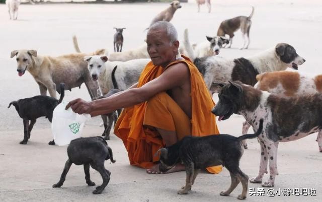 你不知道的国家冷知识瑞典,你不知道的国家冷知识孟加拉国