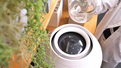 日本净化加湿器,可以净化空气的加湿器