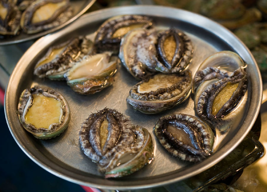 心痛的感觉!八种海鲜暂别啦