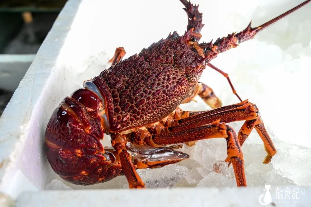 秦皇岛海浪花天桥海鲜批发市场,秦皇岛海浪花批发市场在哪