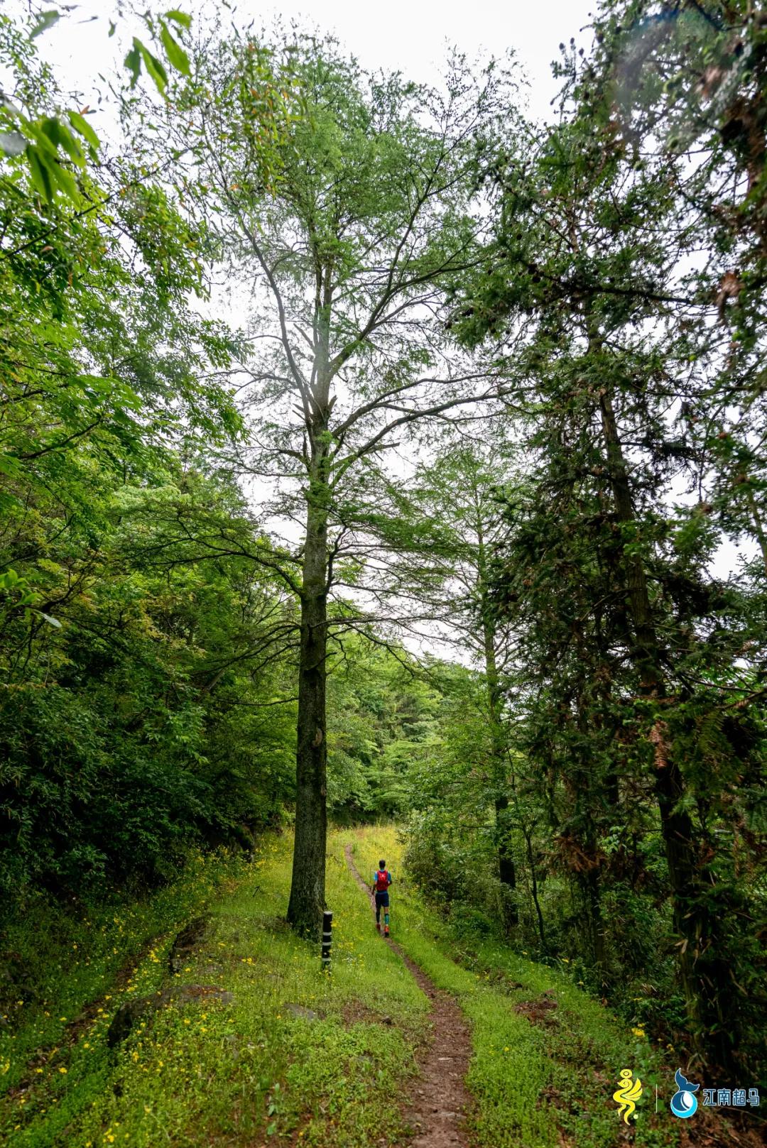 越野跑鞋选购注意事项图片,全路况越野跑鞋怎么选