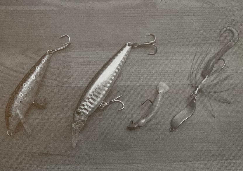 路亚钓黑鲷入门教程,路亚钓黑鲷的方法与技巧