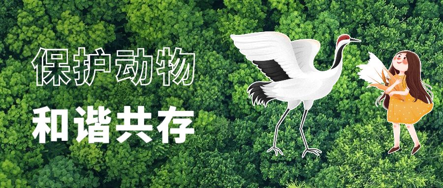 贩卖野生一级保护动物判几年,警方严查野生动物犯法吗