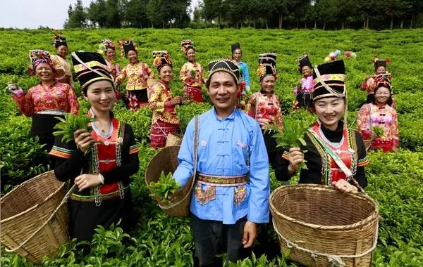 腾冲定居养老的真实感受,腾冲市那边治安怎么样