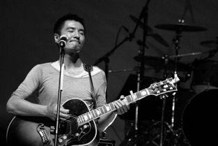 朴树为什么那么多才华,朴树的才华到底有多厉害