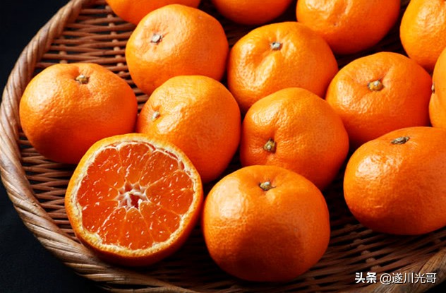 男子捡了个龟壳,大乌龟壳里有夜明珠